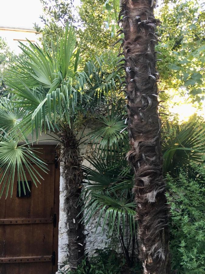 Palmera Mostar Zewnętrze zdjęcie
