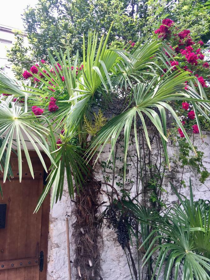 Palmera Mostar Zewnętrze zdjęcie