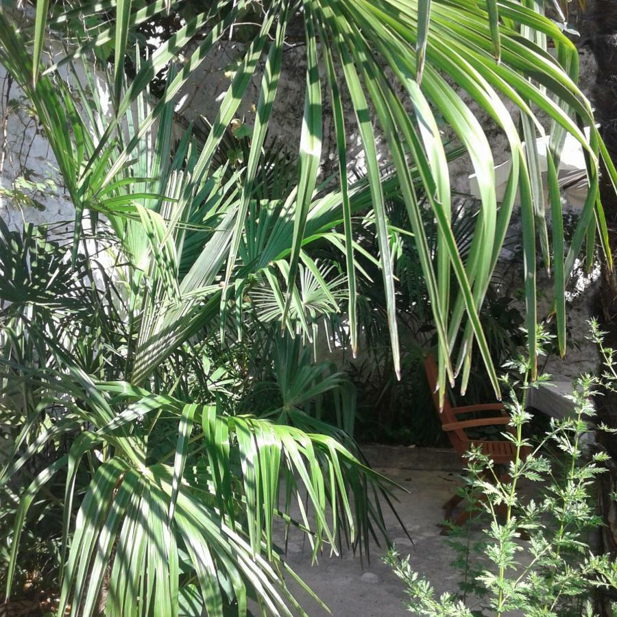 Palmera Mostar Zewnętrze zdjęcie