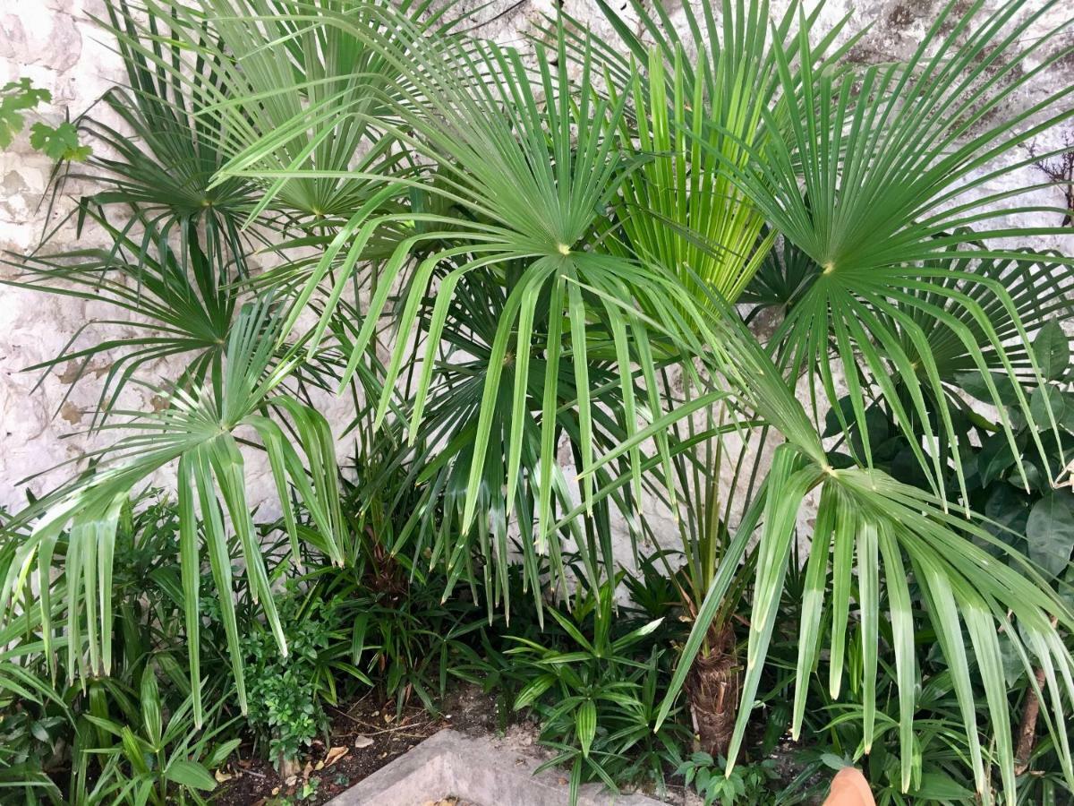 Palmera Mostar Zewnętrze zdjęcie