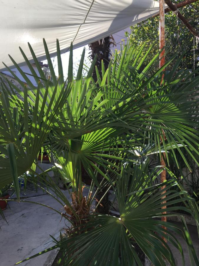 Palmera Mostar Zewnętrze zdjęcie