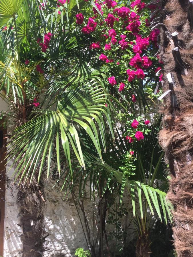 Palmera Mostar Zewnętrze zdjęcie